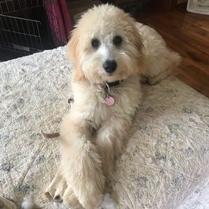 Meet your Posher, Ali